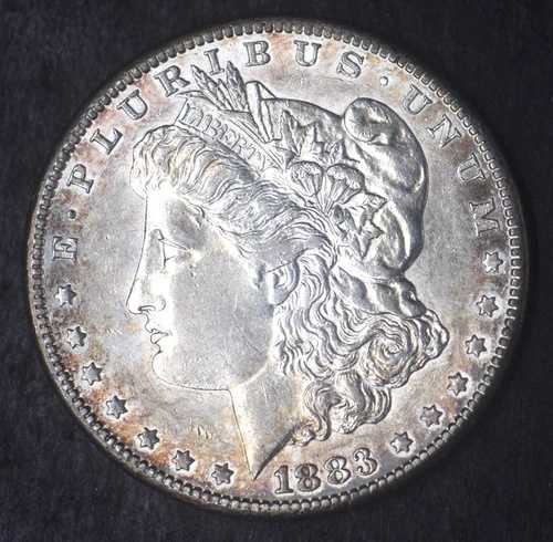 1883-S「トーン付き、高品位」モルガン銀貨 - COINGIANTS -