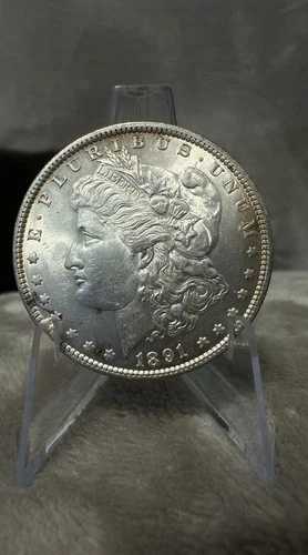 * 1891年 モーガン・ダラー ジェム・トゥ・ジェム スーパーブ Ms+++ ハードデート 希少 $2000+ (#31)