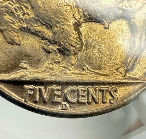 1938年 D/D バッファローニッケル 5C MS 67 NCG - ゴールドトーン 89,540円