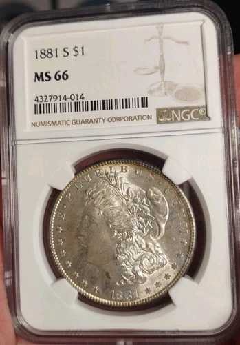 1881年 S モルガン シルバー ドル NGC MS 66｜WORLD RESOURCE【QUEEN店】