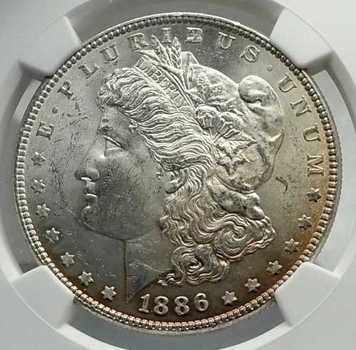 1886年 アメリカ合衆国 銀貨 モルガン USドル イーグル NGC i79837｜WORLD RESOURCE【QUEEN店】 96,800円