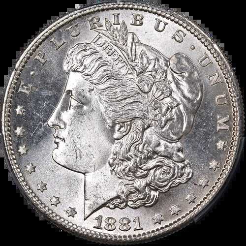 1881-S モルガン銀貨 PCGS MS66 輝く白い宝石 素晴らしい外観｜WORLD RESOURCE【QUEEN店】