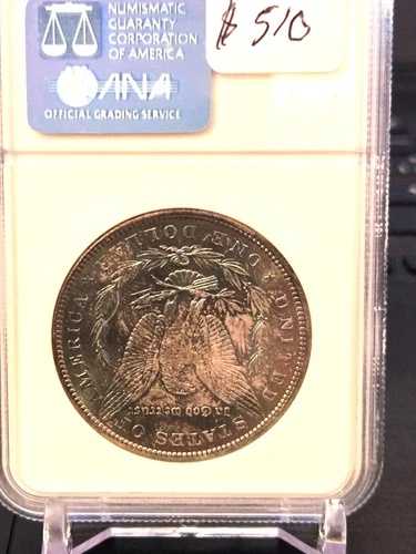1886年モルガン銀貨裏面（トーンあり）｜WORLD RESOURCE【QUEEN店】