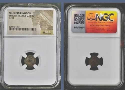 古代ギリシャ セレウコス朝 NGC コイン セレウコス3世 紀元前226-222年 正規品 AE12