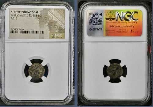 古代ギリシャ紀元前222-187年 セレウコス朝 NGC認定コイン アンティオコス3世 アポロ