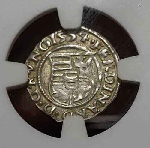 NGC 造幣局 MS 62 1554 年 - クレムニツァ、ハンガリー 中世ディナール