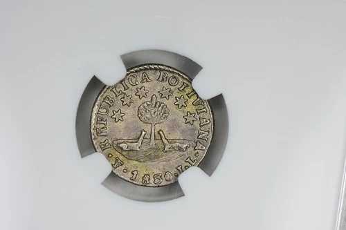 NGC AU58 1830 PTS JL ボリビア 1/2 ソル 6 ポイント スター バラエティ、シルバー、オールド トーン!