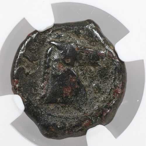 ゼウギタナ、カルタゴ AE18 古代ギリシャ青銅貨 紀元前400-350年 - NGC F｜WORLD RESOURCE【QUEEN店】