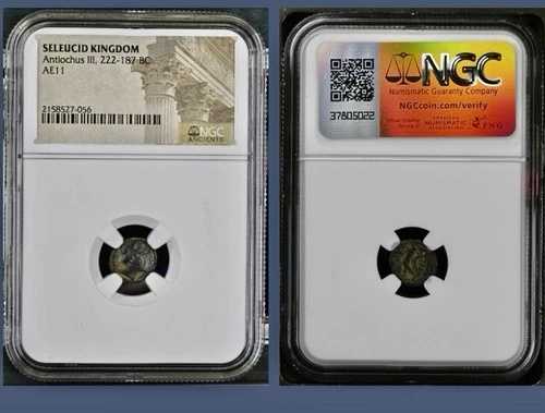 古代ギリシャ セレウコス朝 NGC 認定 紀元前222-187年 コイン アンティオコス3世 AE11