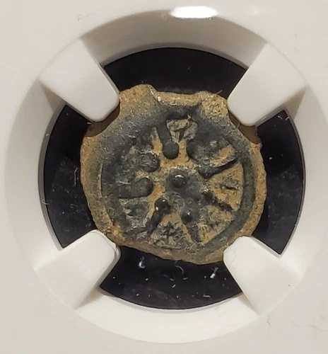NGC 認証 Ch F ウィドウ・マイト・プルタ 詳細 アレクサンダー・ヤナエウス 紀元前104年 - 76年