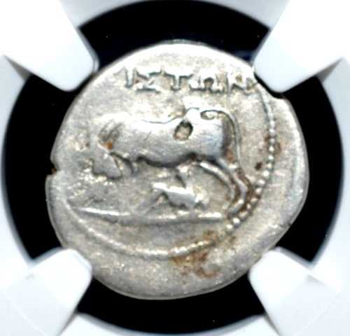 ギリシャ、イリュリア、アポロニア、紀元前2～1世紀、NGC認定、(690)｜WORLD RESOURCE【QUEEN店】