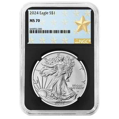 2024年 1ドル 1オンス アメリカンシルバーイーグル NGC MS70 ウェストポイント スターラベル レトロコア