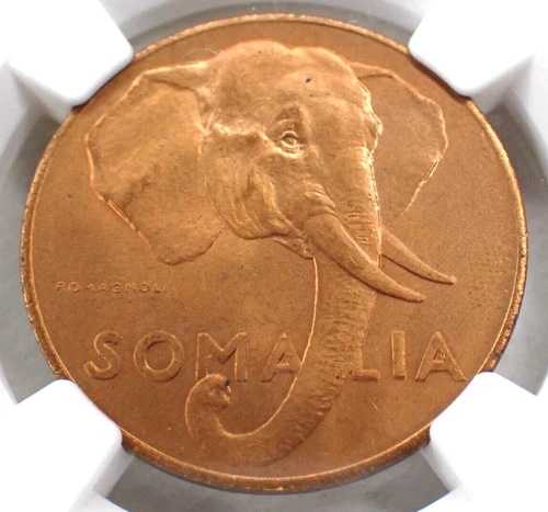 ?? 1950 ソマリア (イタリア領ソマリランド) 10 センテシミ NGC MS 64 レッド (ローマ造幣局)|WORLD RESOURCE【QUEEN店】