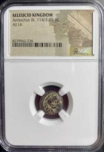 紀元前114年～紀元前95年 古代ギリシャ セレウコス朝 NGC認定コイン アンティオコス9世 ニース 48,180円