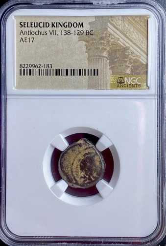 紀元前138年～紀元前129年 ギリシャ セレウコス朝 アンティオコス7世 エロス イシス NGC正規コイン