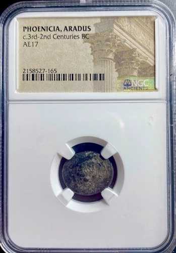 古代フェニキア貨幣 紀元前174-141年 NGC アラドゥス市 ティケー ガレー船 フェニキア