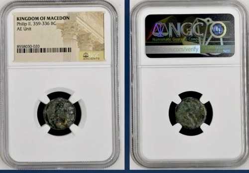 紀元前359年～紀元前336年 ギリシャ古代マケドニア王国 NGC正規コイン フィリップ2世 アポロ