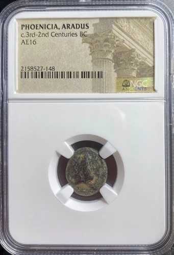 古代フェニキア貨幣 紀元前174年-紀元前141年 NGC アラドゥスの都市 ゼウス ガレー船 雄羊 本物