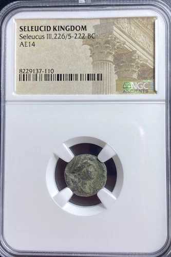 NGC認定古代ギリシャセレウコス王国コインセレウコス3世紀元前226-222年本物