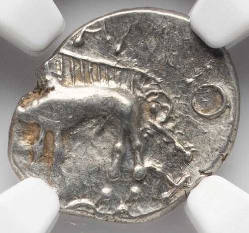 NGC Ch XF ケルト・ガリア・セクアニ 古代フランス 紀元前1世紀、ケルト人の豚と猪のコイン