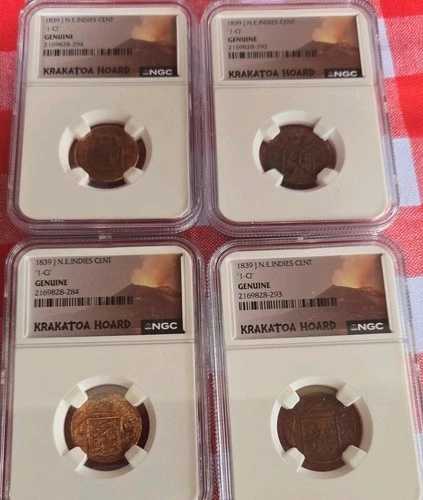 クラカタウの宝物 1839年 J 北東インド諸島セント NGC 本物 4枚セット