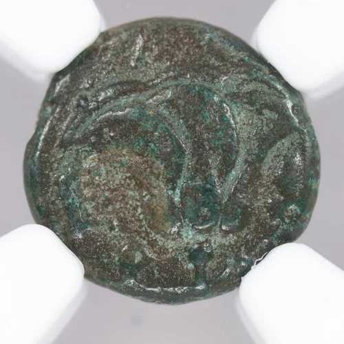 ロードス島 AE10 ギリシャ カリア ブロンズ ローズコイン 紀元前205-188年頃 NGC F