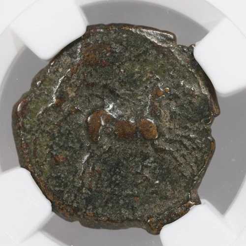 ヒケタス AE21 シチリア シラクサ 古代ギリシャ 青銅馬貨 紀元前288-278年 - NGC F