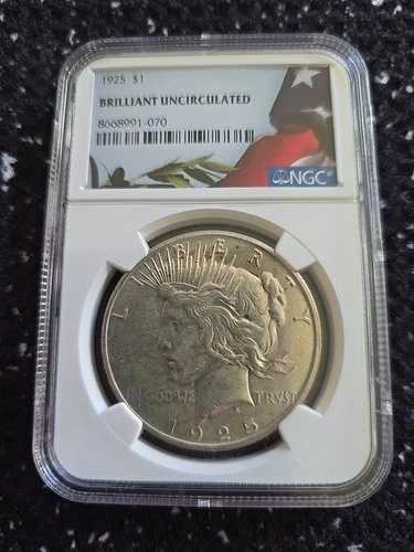 1925年米国平和銀貨1ドル - NGCブリリアント未流通 39,325円