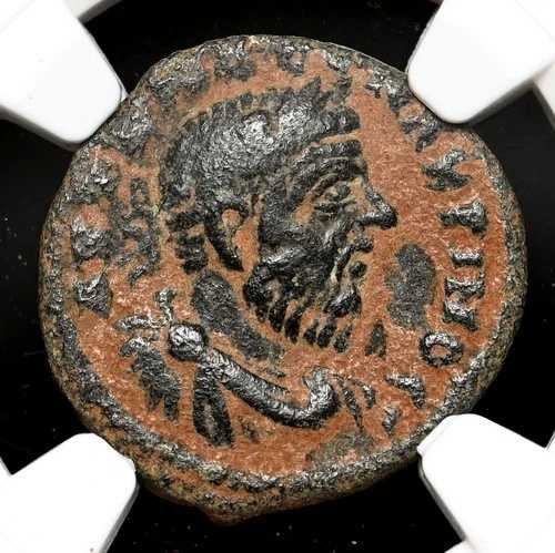 アンティオキア。マクリヌス、AD 217-218、ラージ SC、?18、NGC VF