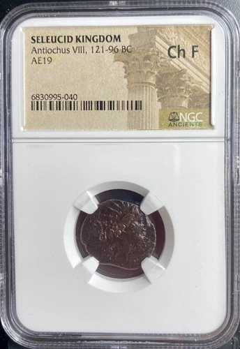 古代ギリシャ セレウコス朝 紀元前121年-紀元前96年 NGC鑑定済みコイン アンティオコス8世 本物