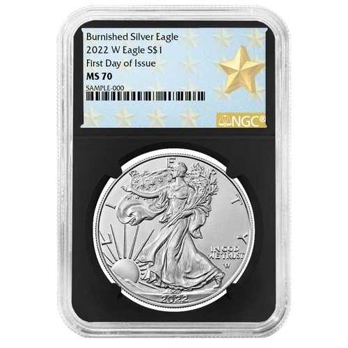 2022-W バーニッシュド 1ドル アメリカン シルバー イーグル NGC MS70 FDI ウェストポイント スターラベル