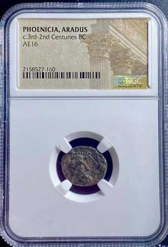 紀元前 174 ～ 141 年 フェニキア コイン NGC 本物 アラドゥス市 ゼウス ガレー船 フェニキア レア