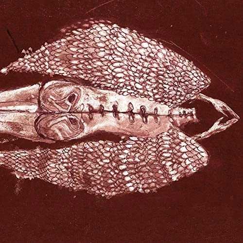 Cerberus Shoal - Homb (アニバーサリー・エディション) (Rouge Vinyl) [VINYL]