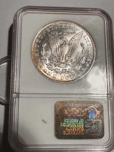 1904-O モーガン・ダラー / ライトナチュラルリムトーニングリバース / 美しい光沢 / NGC MS64