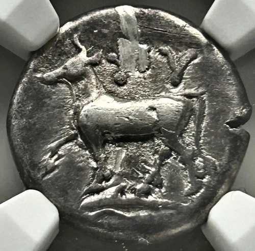 トラキア ビザンツ帝国 AR シグロス 紀元前350-300年 牛イルカの刻印 NGC VF