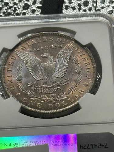 MS64 1884-O モルガン銀貨 NGC 美しい色調