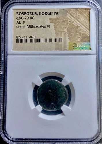 古代パンティカパエウム ボスポラス海峡 ミトラダテス6世 紀元前90-79年 NGC 希少タイプ