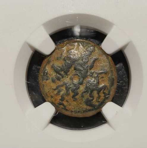 NGC 正規品 プトレマイオス4世 ティルス ?18 紀元前222-205年。非常に美しいコイン。美しい緑青。