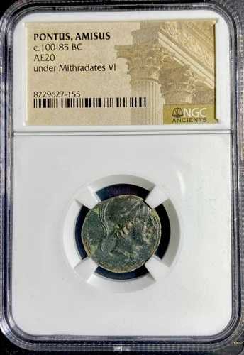 ミトラダテス6世 紀元前100年-紀元前85年 NGC認定ギリシャコイン 古代ポントゥス・アミソス剣