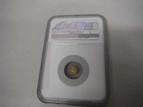 1700 - 1794年 インド金貨ファナム。オランダ・トゥティコリン。NGC MS 64, 025