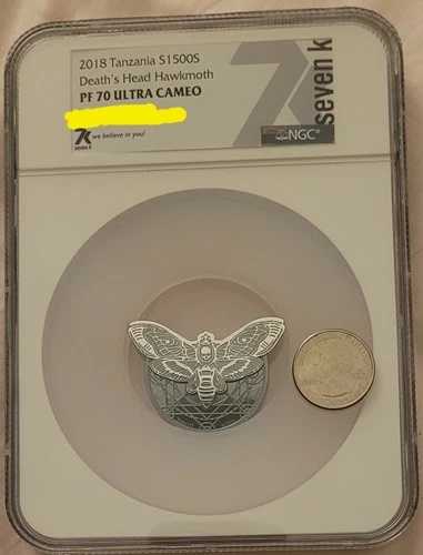 PF70 ウルトラカメオ デスヘッドホークモス 81,070円