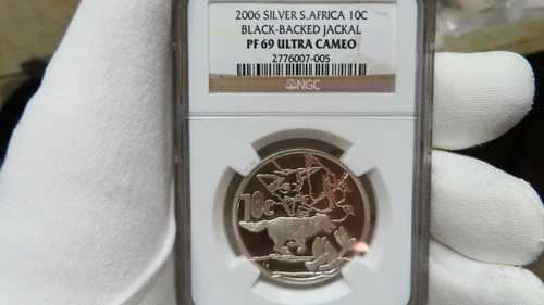 2006年 南アフリカ 鳥を追いかけるクロジャッカル NGC 69 銀貨 10セント クラウン
