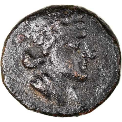 [#876706] コイン、カラブリア、オッラ、クインカンクス、紀元前210-150年、EF、青銅、HNイタリア:793｜WORLD RESOURCE【QUEEN店】