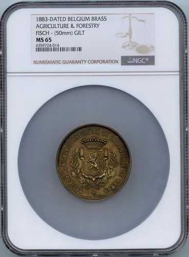 1883年 ベルギー 真鍮製 農林業用魚 50mm 鍍金 NGC MS65 98,615円