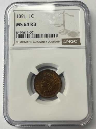 1891年インディアンヘッドセント NGC MS64 RB