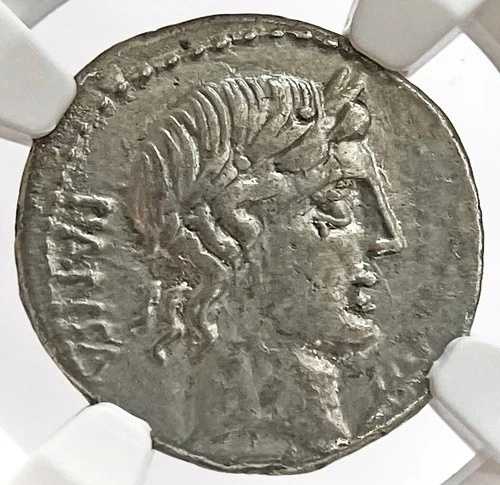 紀元前90年 ローマ共和国 C. VIBIUS C. F. PANSA 銀貨 デナリウス NGC チョイス 非常に良好な状態