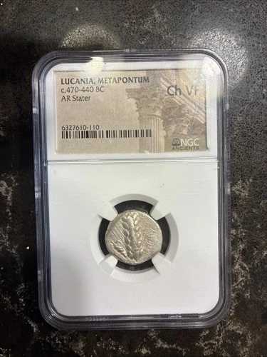NGC ルカニア メタポンタム ステーター - Ch VF