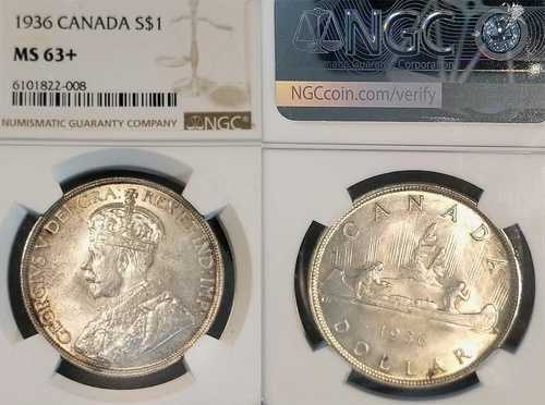 1936 年カナダ ドル、素晴らしい宝石 NGC 63+、オリジナルの鋭い打撃、完全な光沢。