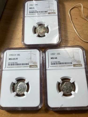 NGCグレードのルーズベルト3枚セット。美しいコインですが、グレードが著しく低いです。色褪せています。