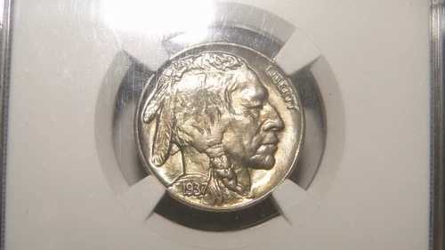 1937 NGC MS67+ バッファロー ニッケル - 素晴らしい輝きを放つ宝石 BU!! 希少でユニークな宝石!